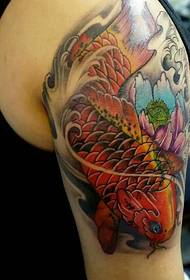 Big arm color red squid tattoo tattoo is very dazzling