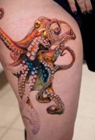 Octopus tattoo pattern octopus faʻataʻitaʻi ata i luga o le ogavae o le tama