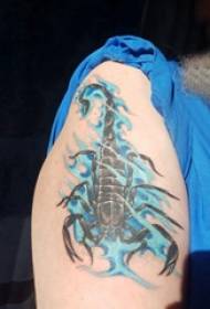 Scorpion nga litrato sa dako nga bukton sa babaye nga babaye sa kolor nga hulagway sa tattoo nga scorpion