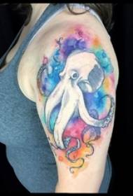 ຮູບ Octopus tattoo ຮູບແຕ້ມຮູບ Octopus ສີທີ່ລຽບງ່າຍຢູ່ເທິງແຂນຂອງເດັກຍິງ