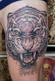Tatuaxe da coxa coxa do macho da tatuaxe no tigre gris