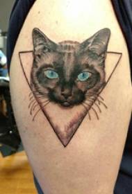 تصویر خال کوبی بازوی بزرگ بازوی بزرگ مرد بر روی مثلث و تصویر تاتو گربه