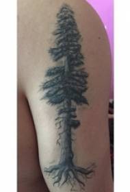 Drenge stor arm på sort punkt torn enkelt linje plante stort træ tatovering billede