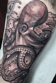 Dvojitá velká paže tetování mužská velká paže na černé tetování chobotnice obrázky