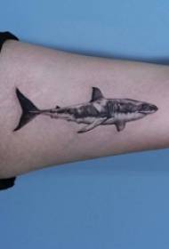 Қара акуланың тату-суреттегі үлкен қолы бар акулалар тату-суреттері бейнеленген бала