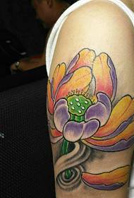 Big arm color lotus tattoo pattern exquisite and beautiful