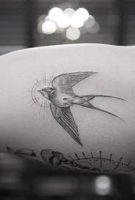 Big arm old school swallow tattoo tattoo pattern