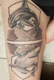 Big arm татуировка илюстрация момиче голяма ръка на делфин и акула снимка татуировка