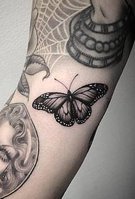 A la part inferior del patró de tatuatge de tela d'aranya papallona de l'escola