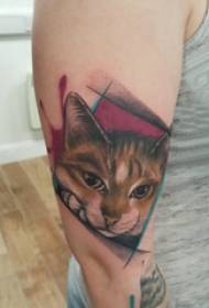 Big arm tattoo illustration girl big arm on geometry and cat tattoo picture