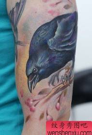 Professional Tattoo Gallery recommends a nice big-armed crow cherry blossom tattoo