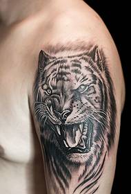 Őrült nagykarú tigris fej tetoválás minta