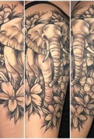 Elefanta tatuistino kun brakoj kaj elefantaj tatuaj bildoj