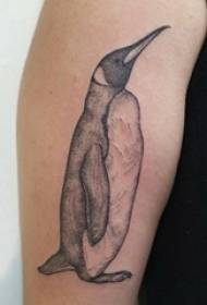 Baile animal tattoo boy's big arm on black penguin tattoo picture