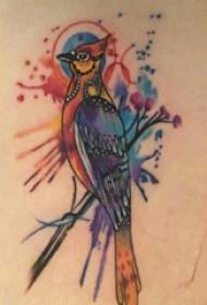 Cuisses de fille de tradition de tatouage de cuisse sur des images de tatouage de plante et d'oiseau