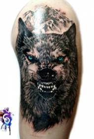 Dripping blood wolf head tattooing boy big arm on colored wolf head tattoo picture