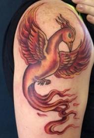 Tattoo phoenix picture muž phoenix na barevném fénixu tetování obrázek