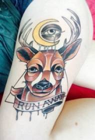 Art statu tatuu cervi ragazza coscia sopra art art cervo tatuaggio