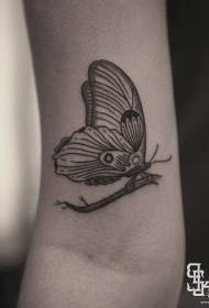 Big ruoko Europe uye America inonamira mutsara butterfly tattoo maitiro