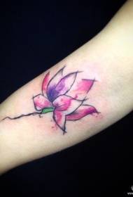 Patrón de tatuaje de flor de loto splash de brazo grande