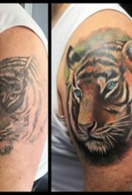 Tīģera galvas tetovējuma modeļa skice tīģera galvas tetovējumam uz zēna augšstilba