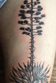 Stegno tatoo moški fant stegno na sliki črne rastline tatoo