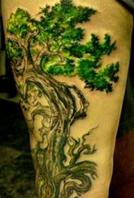 Color de la pierna hermoso patrón de tatuaje de árbol de bonsai