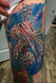 Colorful sea bottom fish tattoo pattern in leg realism style