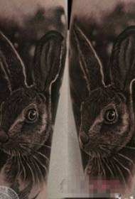 Koulutyttö reidet mustalla harmaalla luonnos super realistinen 3D kani tatuointi kuvia