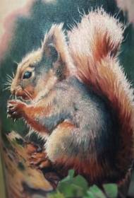 Jalade fotorealistliku värvi suure orava tätoveeringu muster