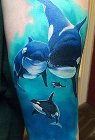 Patrón de tatuaje de tiburón color de brazo
