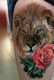 Kolorowy tatuaż głowy lwa w stylu realizmu nóg