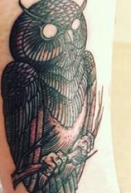 Li-gibbons tsa tattoo tsa owl tse linepe setšoantšong sa tattoo ea owl e ntšo