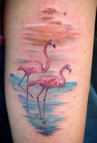 Ručna domaća boja flamingo par tetovaža uzorak