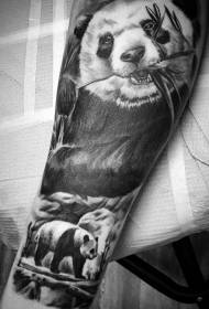 Realistic cute panda with arms eating bamboo tattoo pattern