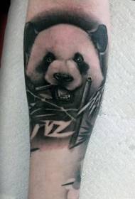 Brazo panda realista en branco e negro comendo fotos de tatuaxes de bambú