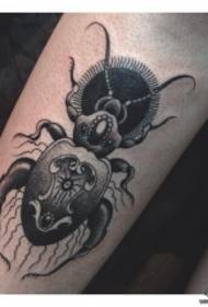 Small arm European and American dark black beetle tattoo pattern