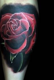 शस्त्रासह वास्तववादी रंग लाल गुलाब टॅटू नमुना