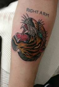 Tiikeri pään tatuointikuvio miesopiskelijan käsivarsi värillisellä tiikeri pään tatuoinnilla
