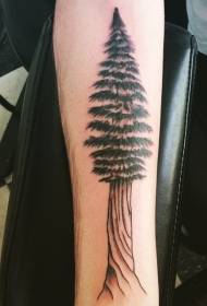 Arm gray simple big pine tattoo picture