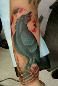 Tattoo bird, boy's arm, painted bird tattoo picture