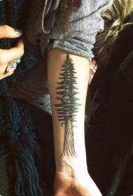 Arm color realistic big spruce tattoo pattern