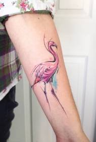 Ramię ilustracja styl kolor wody wzór tatuażu flamingo