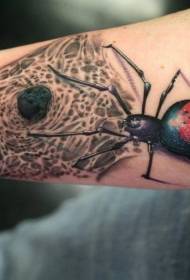 Arm realistic color big spider with web tattoo pattern
