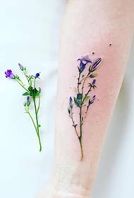 Mic model de tatuaj de flori de plante proaspete de culoare mică a brațului