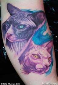 Arm color realistic cat head tattoo pattern