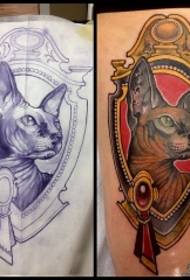 Lille arm europæisk og amerikansk hårløs kat ædelsten skole tatoveringsmønster
