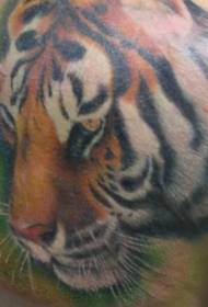 back realistic tiger avatar color tattoo pattern