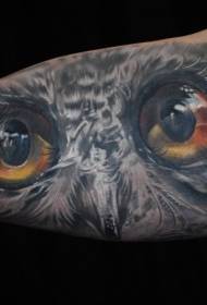 Mefuta e Meholo ea tattoo ea Big Arm Real Colorful Owl