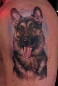 ngjyra e madhe krah modeli tatuazh portret gjerman Shepherd